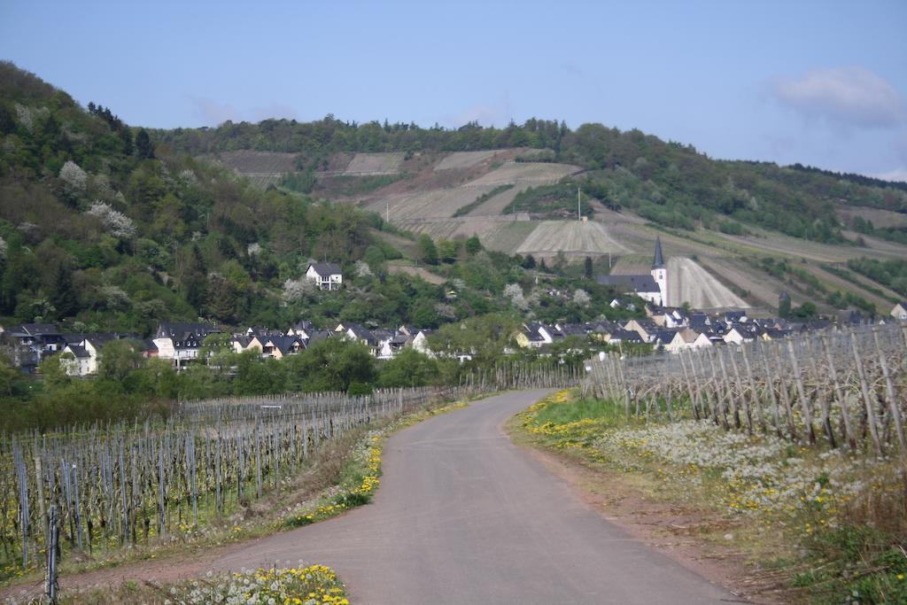 ホテル Weingut Goeres ブリーデル エクステリア 写真