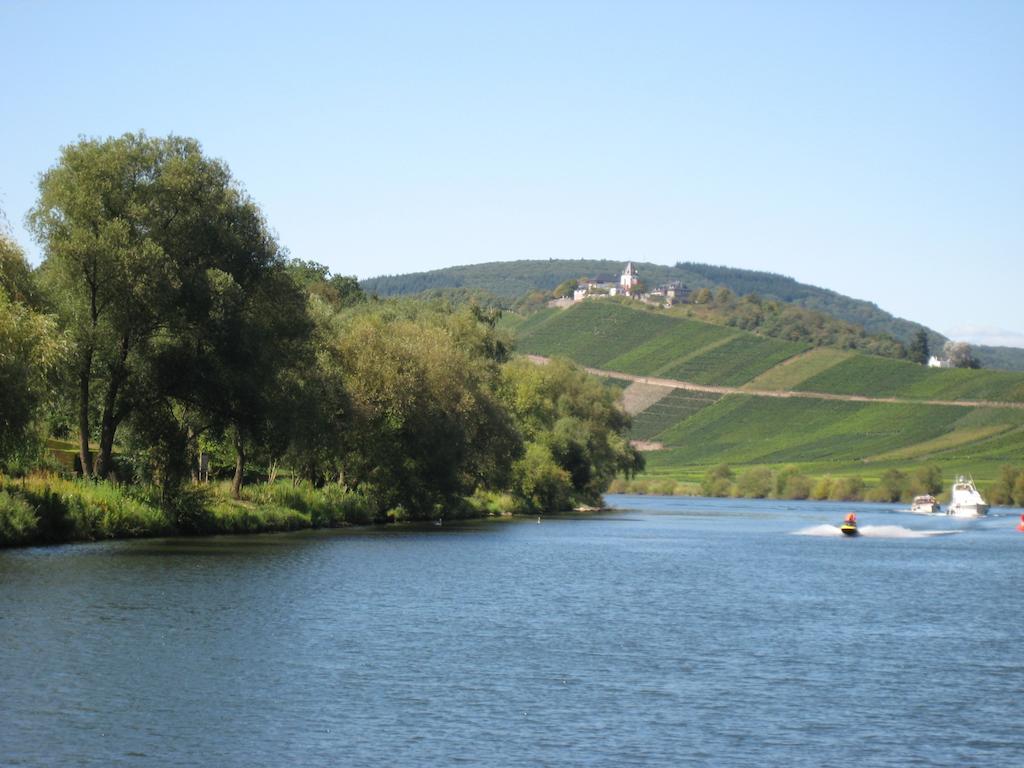 ホテル Weingut Goeres ブリーデル エクステリア 写真